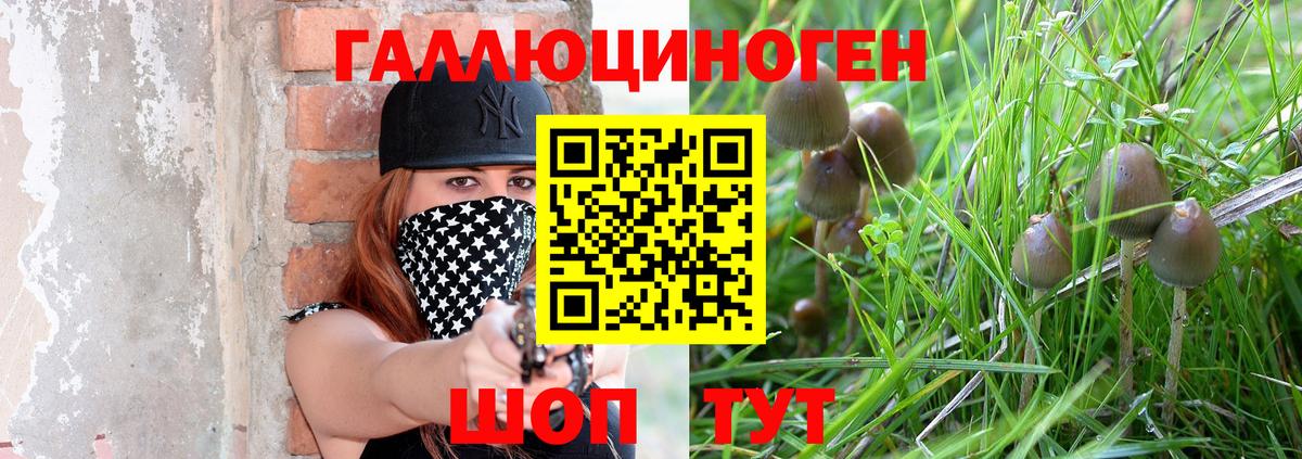 Галлюциногенные грибы прущие грибы  Вход с VPN  Москва 
